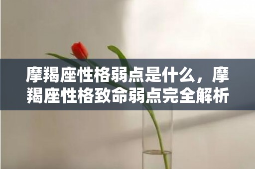 摩羯座性格弱点是什么，摩羯座性格致命弱点完全解析