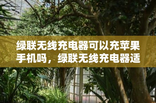 绿联无线充电器可以充苹果手机吗，绿联无线充电器适合苹果手机使用吗