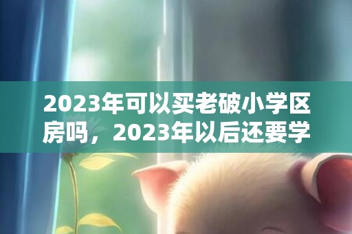 2023年可以买老破小学区房吗，2023年以后还要学区房吗