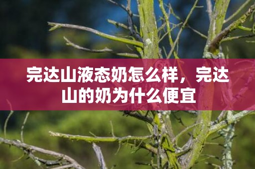 完达山液态奶怎么样，完达山的奶为什么便宜