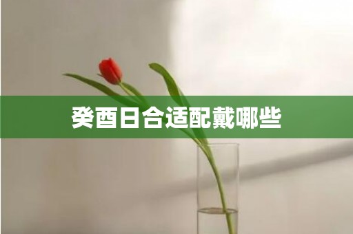 癸酉日合适配戴哪些