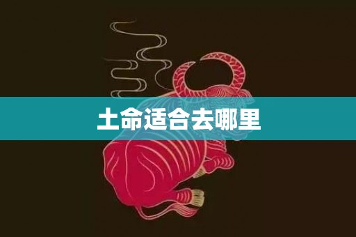 土命适合去哪里