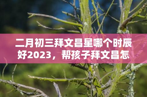 二月初三拜文昌星哪个时辰好2023，帮孩子拜文昌怎么拜才灵