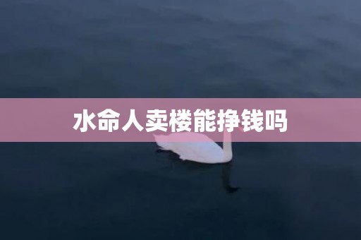 水命人卖楼能挣钱吗