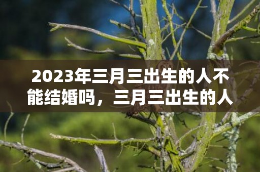 2023年三月三出生的人不能结婚吗，三月三出生的人好不好