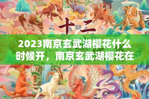 2023南京玄武湖樱花什么时候开，南京玄武湖樱花在哪里游玩攻略