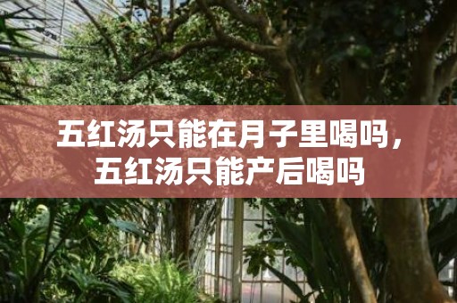 五红汤只能在月子里喝吗，五红汤只能产后喝吗