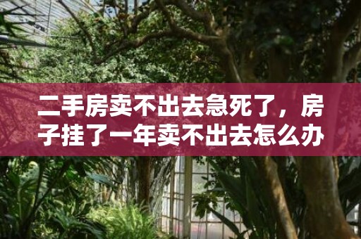 二手房卖不出去急死了，房子挂了一年卖不出去怎么办