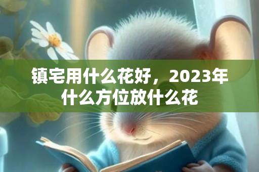 镇宅用什么花好，2023年什么方位放什么花