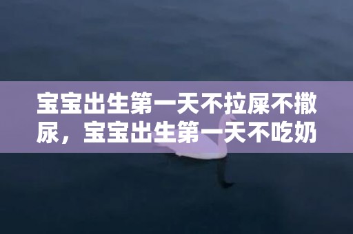 宝宝出生第一天不拉屎不撒尿，宝宝出生第一天不吃奶光睡觉怎么办，宝宝出生第一天打嗝怎么办