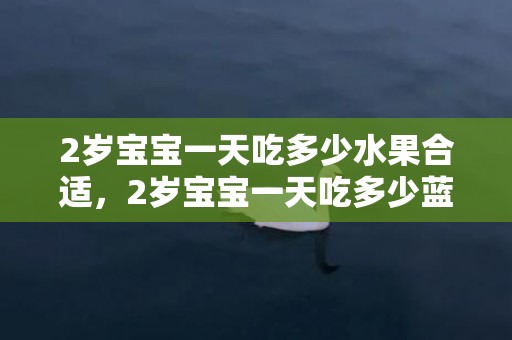 2岁宝宝一天吃多少水果合适，2岁宝宝一天吃多少蓝莓最好，蓝莓多大的宝宝可以吃