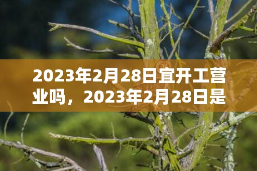 2023年2月28日宜开工营业吗，2023年2月28日是复工的好日子吗