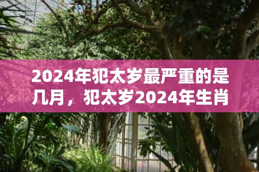 2024年犯太岁最严重的是几月，犯太岁2024年生肖是什么