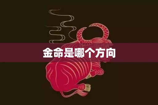 金命是哪个方向