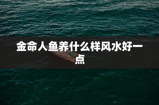 金命人鱼养什么样风水好一点