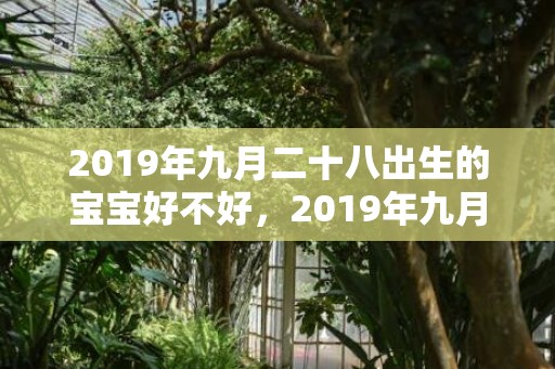 2019年九月二十八出生的宝宝好不好，2019年九月二十二出生的女孩如何起名字，五行属什么