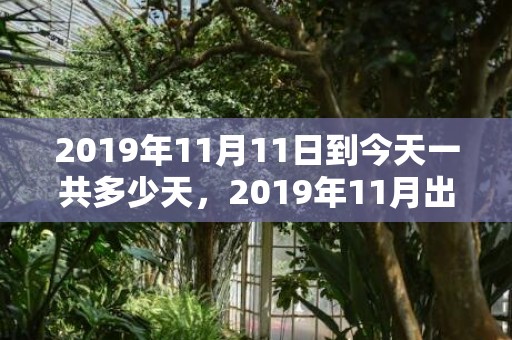 2019年11月11日到今天一共多少天，2019年11月出生的双胞胎女孩如何起名，宜用哪些字