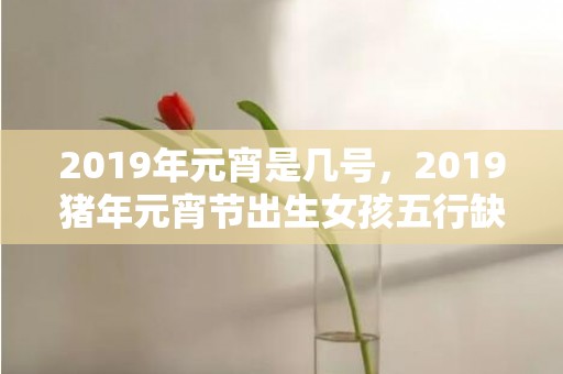 2019年元宵是几号，2019猪年元宵节出生女孩五行缺木要怎么起名字