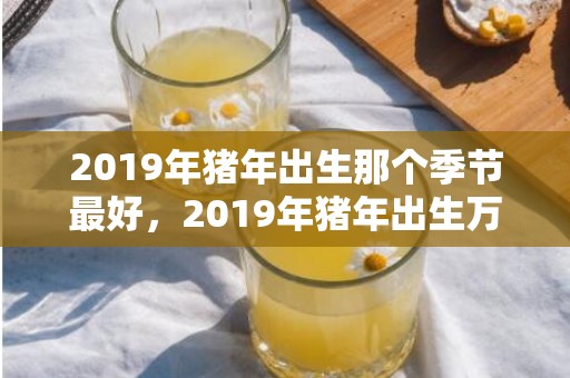 2019年猪年出生那个季节最好，2019年猪年出生万俟姓女孩怎么样起名字，万俟姓女孩好名推荐