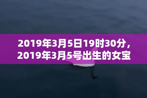 2019年3月5日19时30分，2019年3月5号出生的女宝宝五行缺水要如何起名字