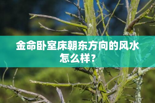 金命卧室床朝东方向的风水怎么样？