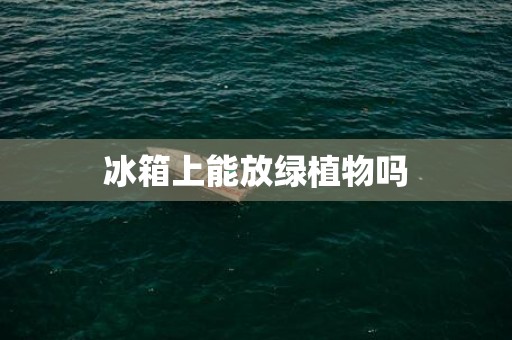 冰箱上能放绿植物吗