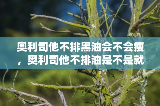 奥利司他不排黑油会不会瘦，奥利司他不排油是不是就无效了