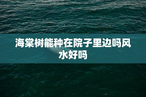 海棠树能种在院子里边吗风水好吗