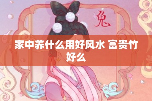 家中养什么用好风水 富贵竹好么