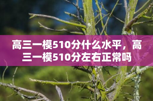 高三一模510分什么水平，高三一模510分左右正常吗