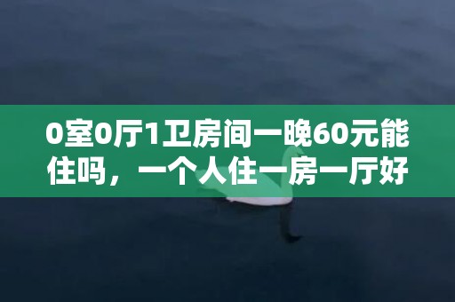 0室0厅1卫房间一晚60元能住吗，一个人住一房一厅好还是单间好