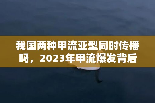 我国两种甲流亚型同时传播吗，2023年甲流爆发背后真相