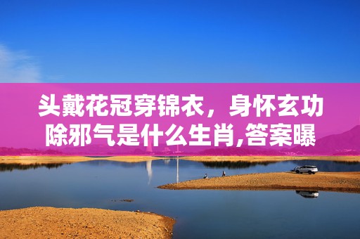 头戴花冠穿锦衣，身怀玄功除邪气是什么生肖,答案曝光落实