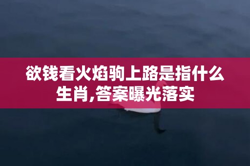 欲钱看火焰驹上路是指什么生肖,答案曝光落实