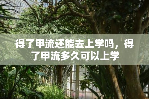 得了甲流还能去上学吗，得了甲流多久可以上学