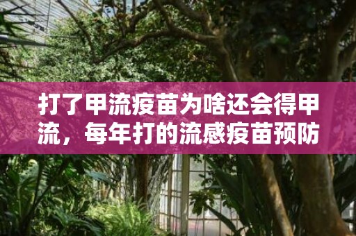 打了甲流疫苗为啥还会得甲流，每年打的流感疫苗预防甲流吗