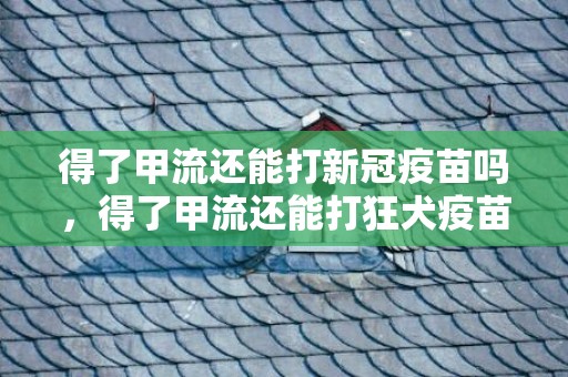 得了甲流还能打新冠疫苗吗，得了甲流还能打狂犬疫苗吗