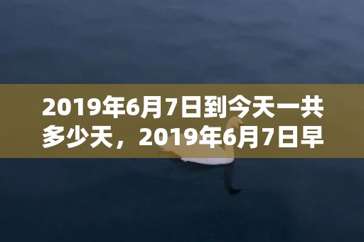 2019年6月7日到今天一共多少天，2019年6月7日早晨出生的男孩子取名方法