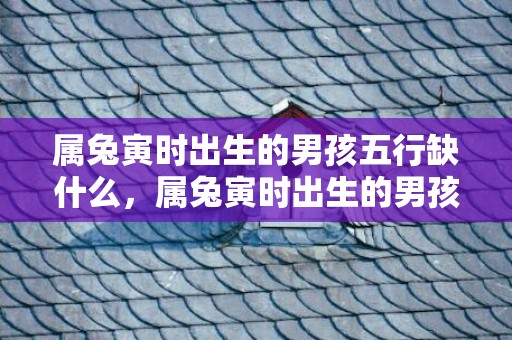 属兔寅时出生的男孩五行缺什么，属兔寅时出生的男孩起什么名字好，不应该用什么字