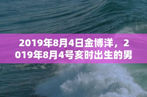 2019年8月4日金博洋，2019年8月4号亥时出生的男孩起什么名字会受益终生