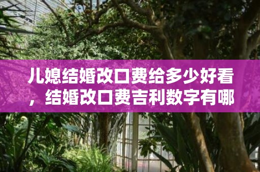 儿媳结婚改口费给多少好看，结婚改口费吉利数字有哪些