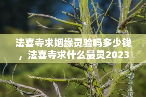 法喜寺求姻缘灵验吗多少钱，法喜寺求什么最灵2023