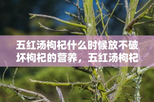 五红汤枸杞什么时候放不破坏枸杞的营养，五红汤枸杞放多少合适