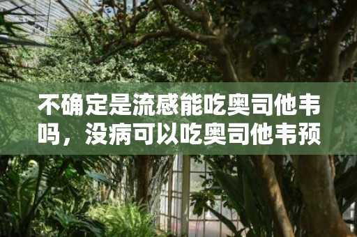 不确定是流感能吃奥司他韦吗，没病可以吃奥司他韦预防吗