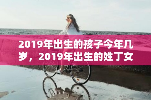 2019年出生的孩子今年几岁，2019年出生的姓丁女孩如何起名，宜用什么字