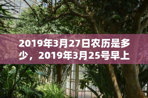 2019年3月27日农历是多少，2019年3月25号早上出生的女孩起什么名字好