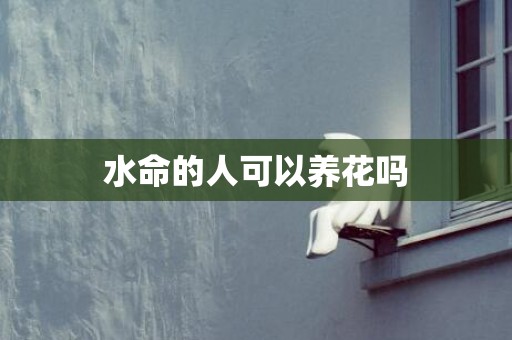 水命的人可以养花吗