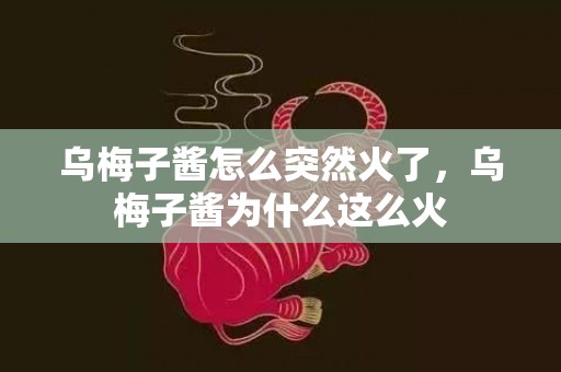 乌梅子酱怎么突然火了，乌梅子酱为什么这么火