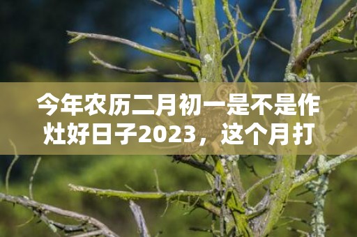 今年农历二月初一是不是作灶好日子2023，这个月打灶的黄道吉日在那几天