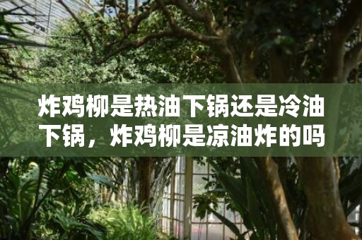 炸鸡柳是热油下锅还是冷油下锅，炸鸡柳是凉油炸的吗